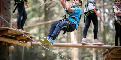 Ausflug mit Kindern - Themenschwerpunkt: Action - PLZ 8171 (Österreich) - Kletterspaß für die ganze Familie