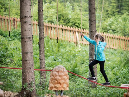 Ausflug mit Kindern - Stübinggraben - Kletterspaß für die ganze Familie