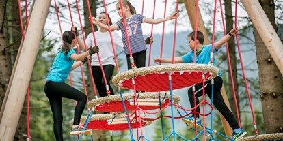 Ausflug mit Kindern - Ausflugsziel ist: ein Naturerlebnis - Turnau - Kletterspaß für die ganze Familie