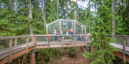 Ausflug mit Kindern - Ausflugsziel ist: ein Naturerlebnis - Sinzheim - Baumwipfelpfad Schwarzwald