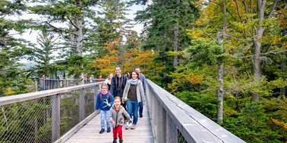 Ausflug mit Kindern - Ausflugsziel ist: ein sehenswerter Ort - Sinzheim - Baumwipfelpfad Schwarzwald
