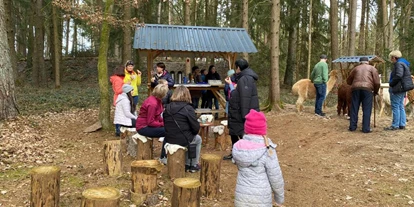 Trip with children - Ausflugsziel ist: ein Streichelzoo - Germany - Alpaka-Wanderung