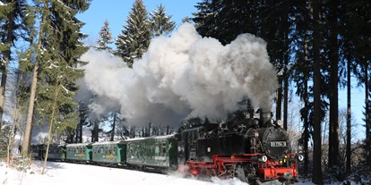 Ausflug mit Kindern - Jöhstadt - Dampfzugfahrt mit der Fichtelbergbahn