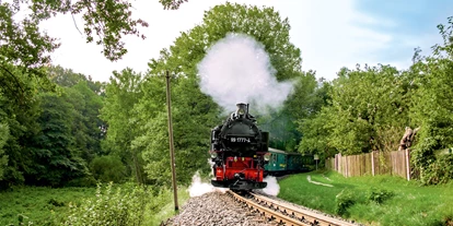 Trip with children - Radebeul - Dampfzugfahrt mit der Lößnitzgrundbahn