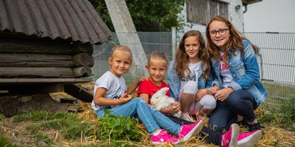 Ausflug mit Kindern - Neustift im Mühlkreis - Landhotel Haagerhof - Streichelzoo, Kleintiergehege, Kraxl Maxl (Spielplatz)
