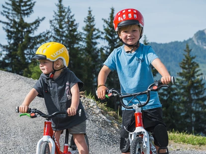 Ausflug mit Kindern - Witterung: Bewölkt - Vorderkleinarl - woom bike area