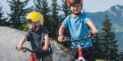 Ausflug mit Kindern - erreichbar mit: Fahrrad - Hüttschlag - woom bike area