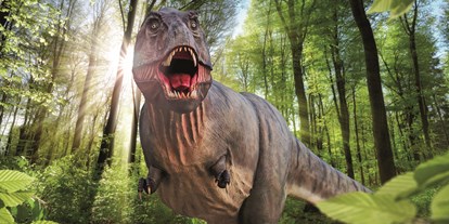 Ausflug mit Kindern - Ausflugsziel ist: ein Naturerlebnis - Eichstätt - Dinosaurier Museum Altmühltal