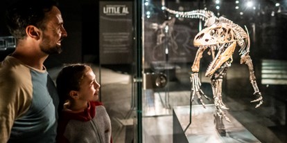 Ausflug mit Kindern - Themenschwerpunkt: Dinosaurier - Eichstätt - Dinosaurier Museum Altmühltal