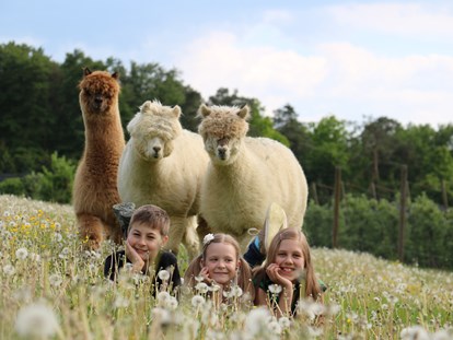 Ausflug mit Kindern - Weiz - Erlebnisregion Oststeiermark