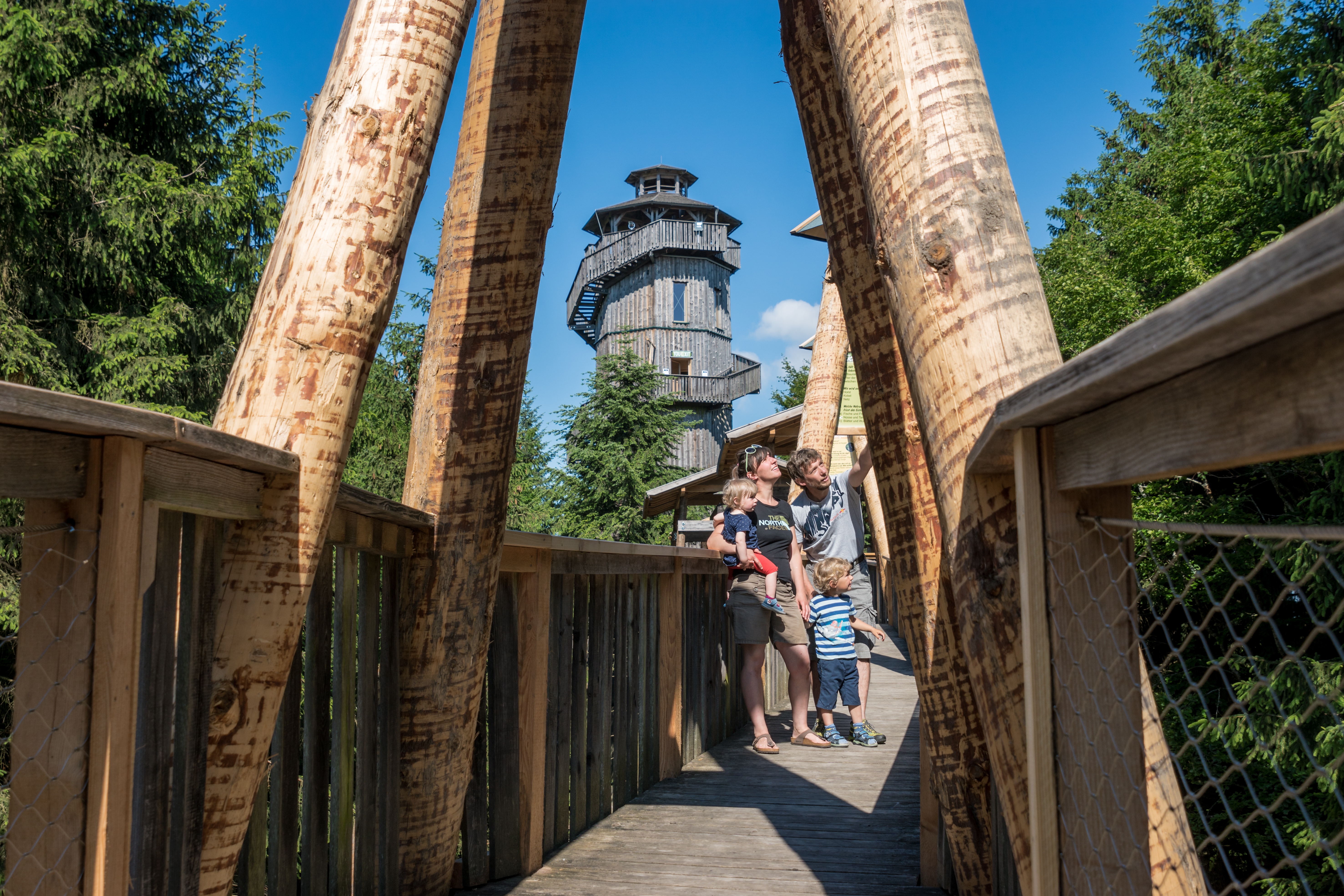 Ausflugsziel - Familie genießt die Aussicht entlang des Weges  - Baumkronenweg in der WaldEntdeckerWelt