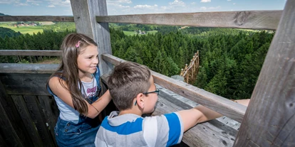 Ausflug mit Kindern - Themenschwerpunkt: Klettern - Peilstein im Mühlviertel - Kinder genießen die Sicht vom 40m Turm  - Baumkronenweg Kopfing