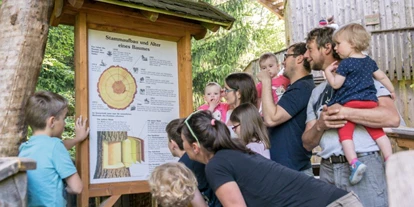 Ausflug mit Kindern - outdoor - Peilstein im Mühlviertel - Informationstafeln  - Baumkronenweg Kopfing