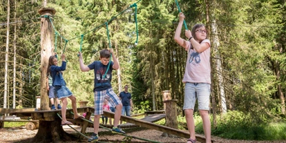 Ausflug mit Kindern - Alter der Kinder: 4 bis 6 Jahre - Peilstein im Mühlviertel - Niederseilgarten  - Baumkronenweg Kopfing