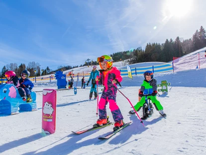 Trip with children - Themenschwerpunkt: Sport - Bad Mitterndorf - Wollis Kids Park an der Talstation