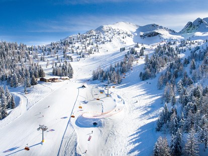 Ausflug mit Kindern - Ausflugsziel ist: ein Skigebiet - XXL Funslope