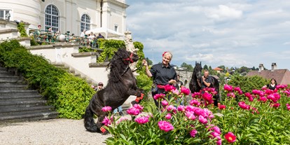 Ausflug mit Kindern - Themenschwerpunkt: Pferde - PLZ 3665 (Österreich) - Das Pfingstrosen-Fest