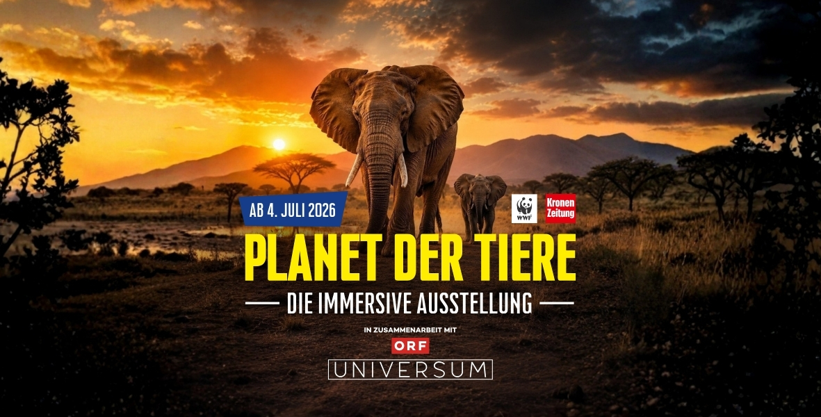 Ausflugsziel - IMMERSIUM:WIEN - Planet der Tiere 