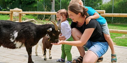 Trip with children - Themenschwerpunkt: Action - Bavaria - Wildfreizeitpark Oberreith