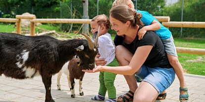 Ausflug mit Kindern - Dauer: ganztags - Traunreut - Wildfreizeitpark Oberreith