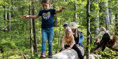 Ausflug mit Kindern - Ausflugsziel ist: ein Weg - Bad Säckingen - Kinder-Erlebnispfad Dachsweg