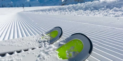 Ausflug mit Kindern - Witterung: Bewölkt - Sankt Leonhard (Grödig) - Symbolbild für ein Skigebiet - Skiarena Obersalzberg
