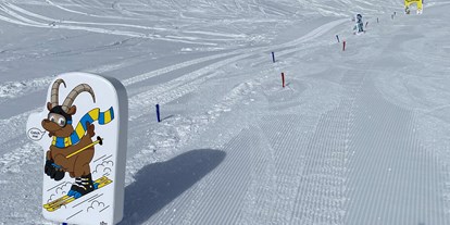 Ausflug mit Kindern - Ausflugsziel ist: ein Skigebiet - PLZ 7277 (Schweiz) - Mountys Land Marguns
