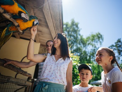 Ausflug mit Kindern - Alter der Kinder: 2 bis 4 Jahre - Kärnten - Familien-Seefest am Klopeiner See 