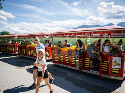 Ausflug mit Kindern - WC - Kärnten - Familien-Seefest am Klopeiner See 