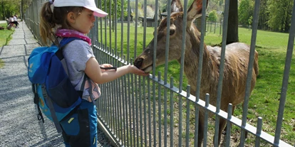 Ausflug mit Kindern - Ausflugsziel ist: ein Tierpark - Deutschland - Tiergehege im Naherholungsgebiet Waldhaus bei Greiz