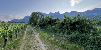 Ausflug mit Kindern - Ausflugsziel ist: eine Wanderung - PLZ 7032 (Schweiz) - Spaziergang durch herrschaftliche Rebberge