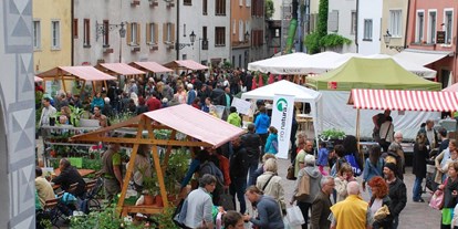 Ausflug mit Kindern - Umgebungsschwerpunkt: Stadt - PLZ 7064 (Schweiz) - Churer Wildpflanzen- und Setzlingsmarkt