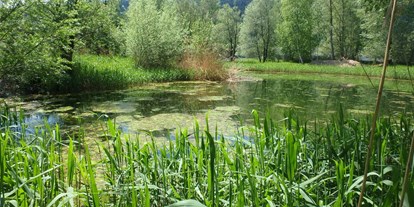 Ausflug mit Kindern - Ausflugsziel ist: ein Naturerlebnis - PLZ 7156 (Schweiz) - Freiwilligeneinsatz: Neophyten bekämpfen im Schutzgebiet Munté