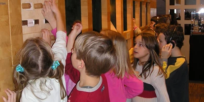 Ausflug mit Kindern - Wallern an der Trattnach - An der Wand der Sinne wird die Welt des Holzes erlebbar: sehen, fühlen, riechen und hören.  - LIGNORAMA Holz- und Werkzeugmuseum