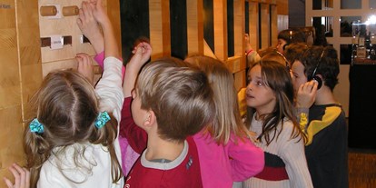Ausflug mit Kindern - Kühdobl - An der Wand der Sinne wird die Welt des Holzes erlebbar: sehen, fühlen, riechen und hören.  - LIGNORAMA Holz- und Werkzeugmuseum