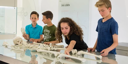 Ausflug mit Kindern - Umgebungsschwerpunkt: Stadt - Sankt Leonhard (Grödig) - Knochenlabor - Keltenmuseum Hallein