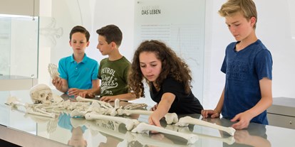 Ausflug mit Kindern - Kinderwagen: vollständig geeignet - Mondsee - Knochenlabor - Keltenmuseum Hallein
