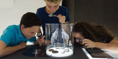 Ausflug mit Kindern - Witterung: Wind - Lukasedt - Kelten und Urgeschichte entdecken - Keltenmuseum Hallein