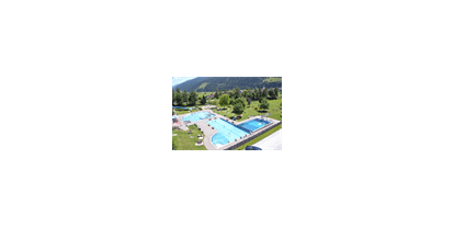 Ausflug mit Kindern - Dauer: halbtags - Salzburg - Freischwimmbad Mittersill