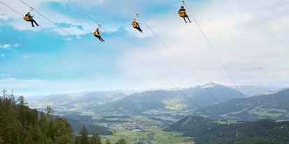 Ausflug mit Kindern - Themenschwerpunkt: Bewegung - PLZ 4831 (Österreich) - Zipline Stoderzinken