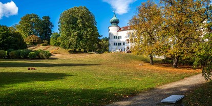 Ausflug mit Kindern - sehenswerter Ort: Schloss - Föhrenhain - K & K & K - Kastanien, Kaffee & Kuchen