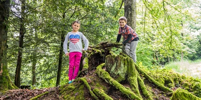 Ausflug mit Kindern - Oberbierbaum (Pöggstall) - Garten-Safari-Wochenenden
