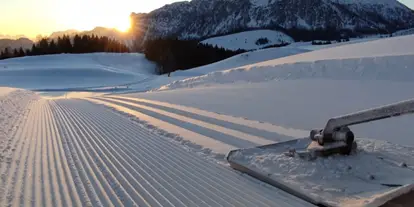 Ausflug mit Kindern - Ausflugsziel ist: ein Skigebiet - PLZ 4822 (Österreich) - Langlaufen mit Kids