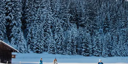 Ausflug mit Kindern - Witterung: Schnee - PLZ 5350 (Österreich) - Langlaufen mit Kids