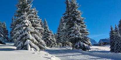 Ausflug mit Kindern - Ausflugsziel ist: ein Skigebiet - Sankt Leonhard (Grödig) - Langlaufen mit Kids