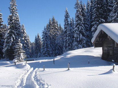 Ausflug mit Kindern - Witterung: Wechselhaft - Salzburg - Winterwanderung im Schnee