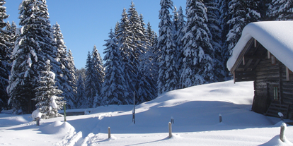 Ausflug mit Kindern - Umgebungsschwerpunkt: Berg - Winterwanderung im Schnee