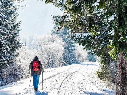 Ausflug mit Kindern - Winterausflugsziel - Sankt Leonhard (Grödig) - Winterwanderung im Schnee