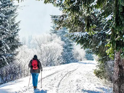Ausflug mit Kindern - Hallstatt - Winterwanderung im Schnee