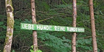 Ausflug mit Kindern - Umgebungsschwerpunkt: Wald - Teufelsgraben